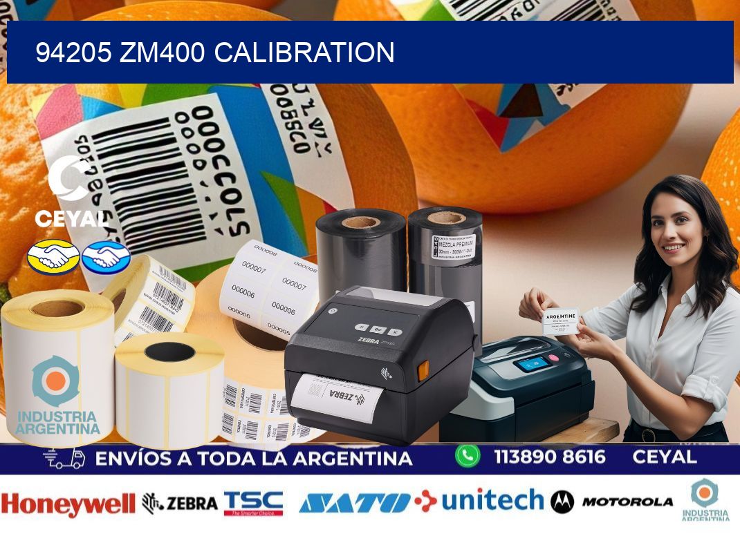 94205 ZM400 Calibration
