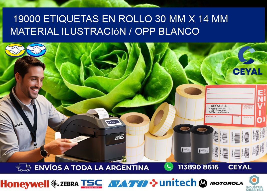 19000 Etiquetas en rollo 30 mm x 14 mm material Ilustración / OPP Blanco