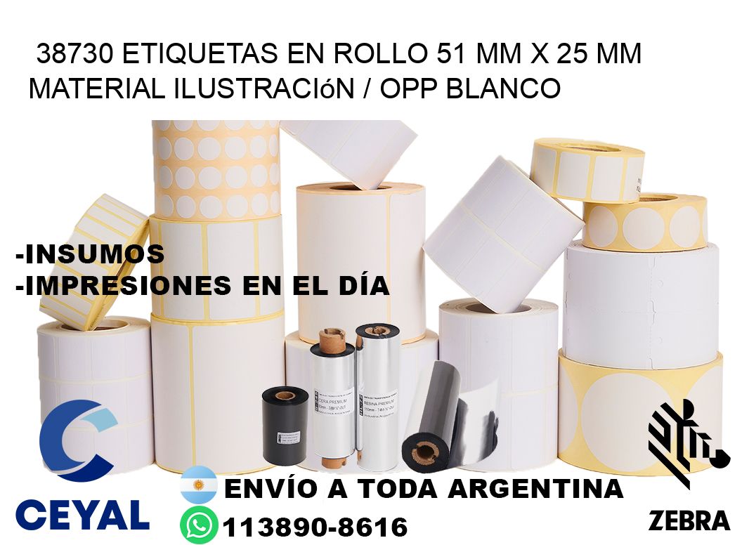 38730 Etiquetas en rollo 51 mm x 25 mm material Ilustración / OPP Blanco