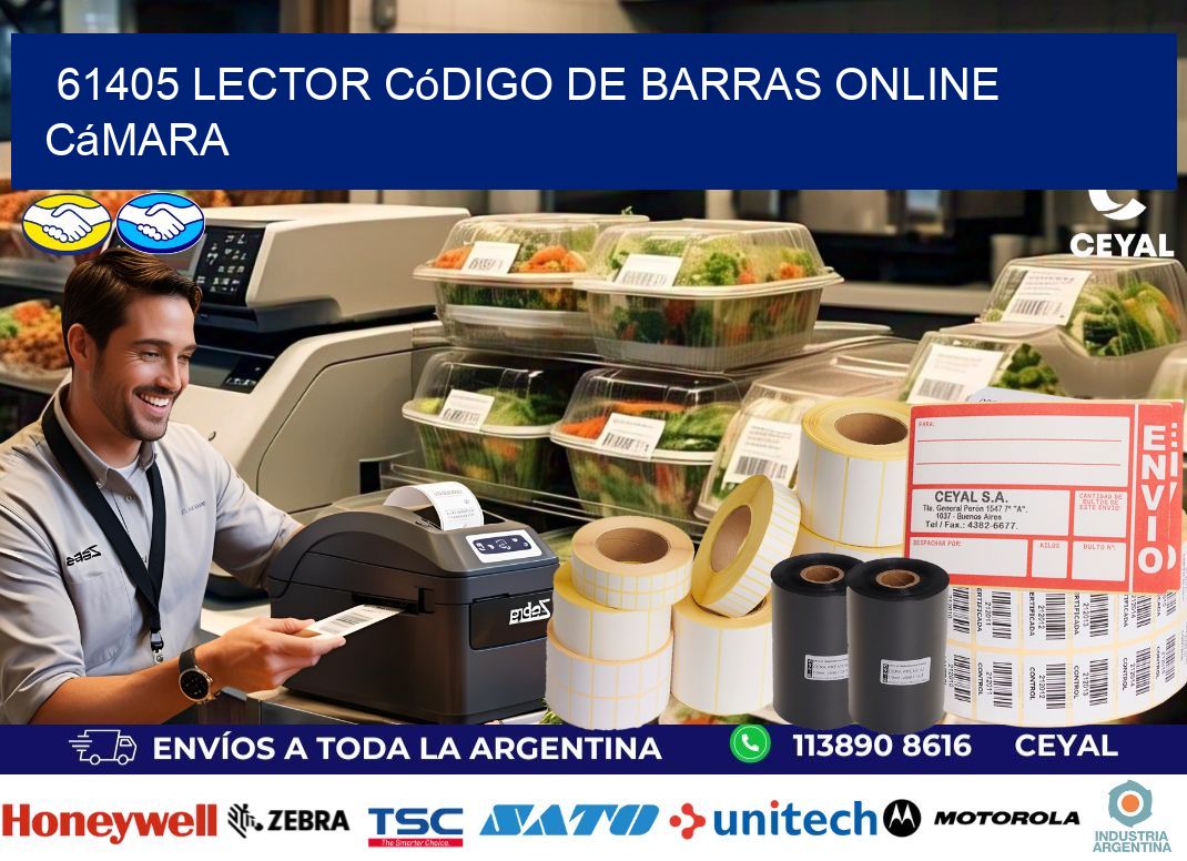 61405 Lector código de barras online cámara