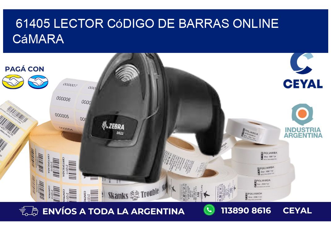 61405 Lector código de barras online cámara