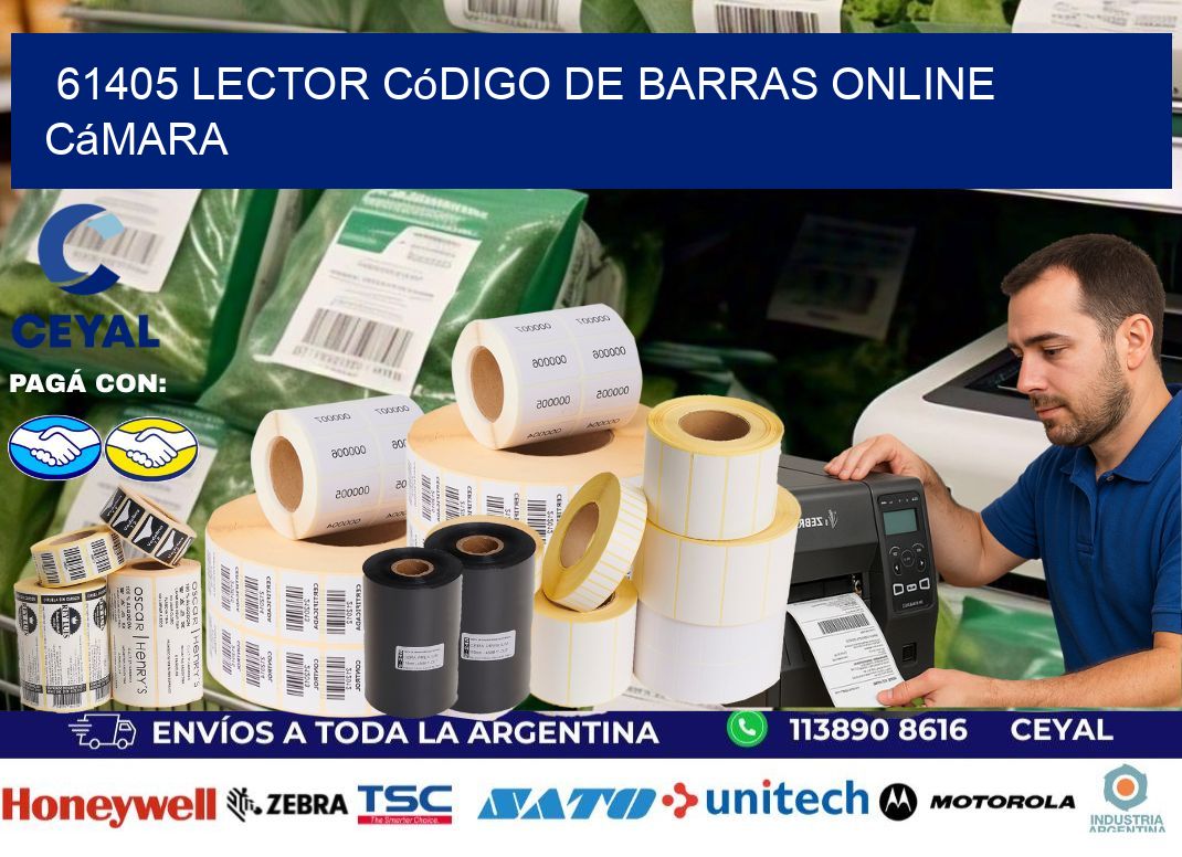61405 Lector código de barras online cámara