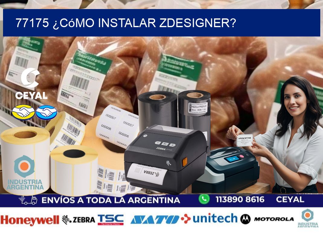 77175 ¿Cómo instalar ZDesigner?