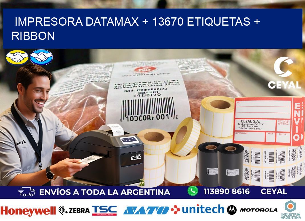 impresora DATAMAX + 13670 etiquetas + ribbon