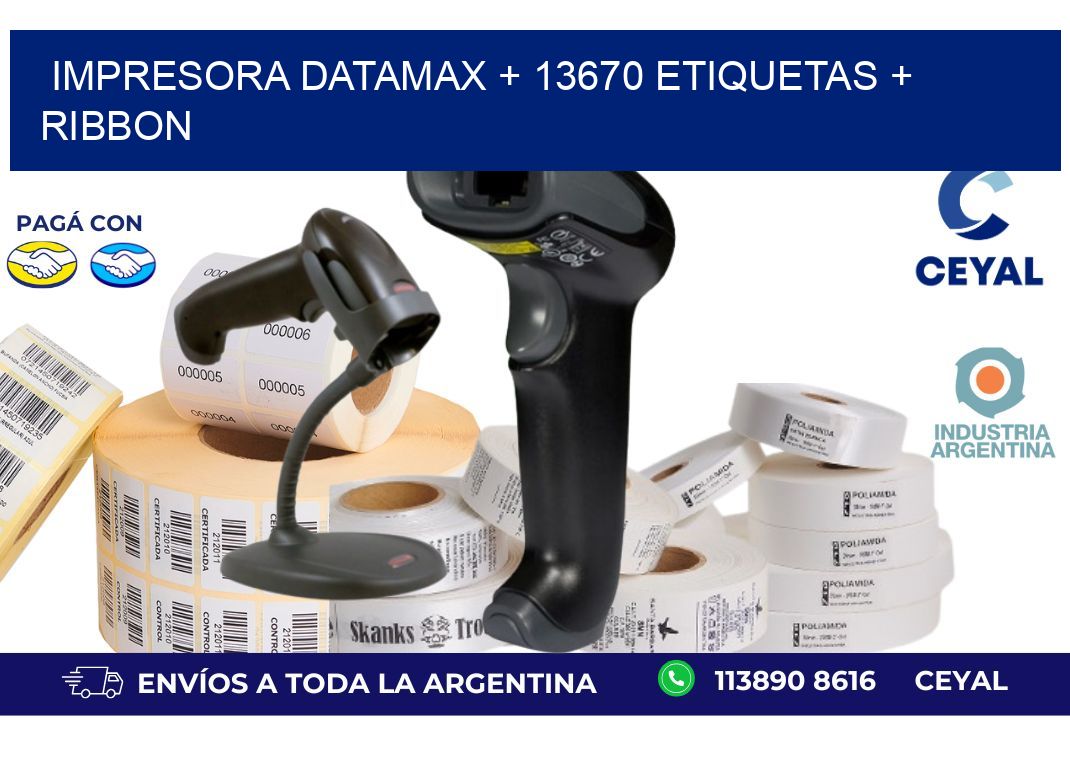 impresora DATAMAX + 13670 etiquetas + ribbon