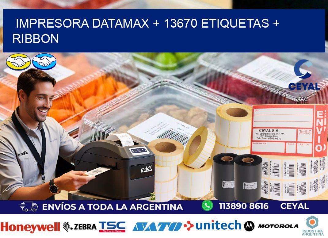 impresora DATAMAX + 13670 etiquetas + ribbon