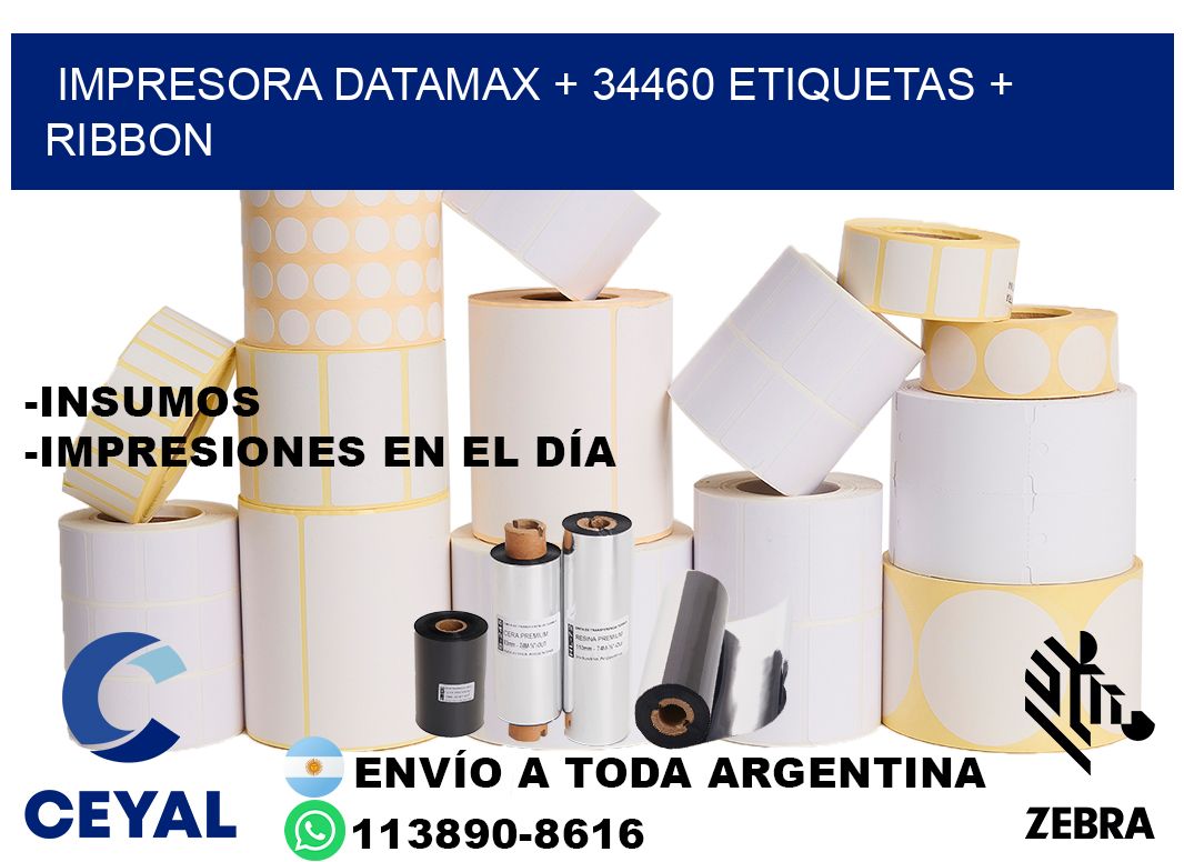 impresora DATAMAX + 34460 etiquetas + ribbon