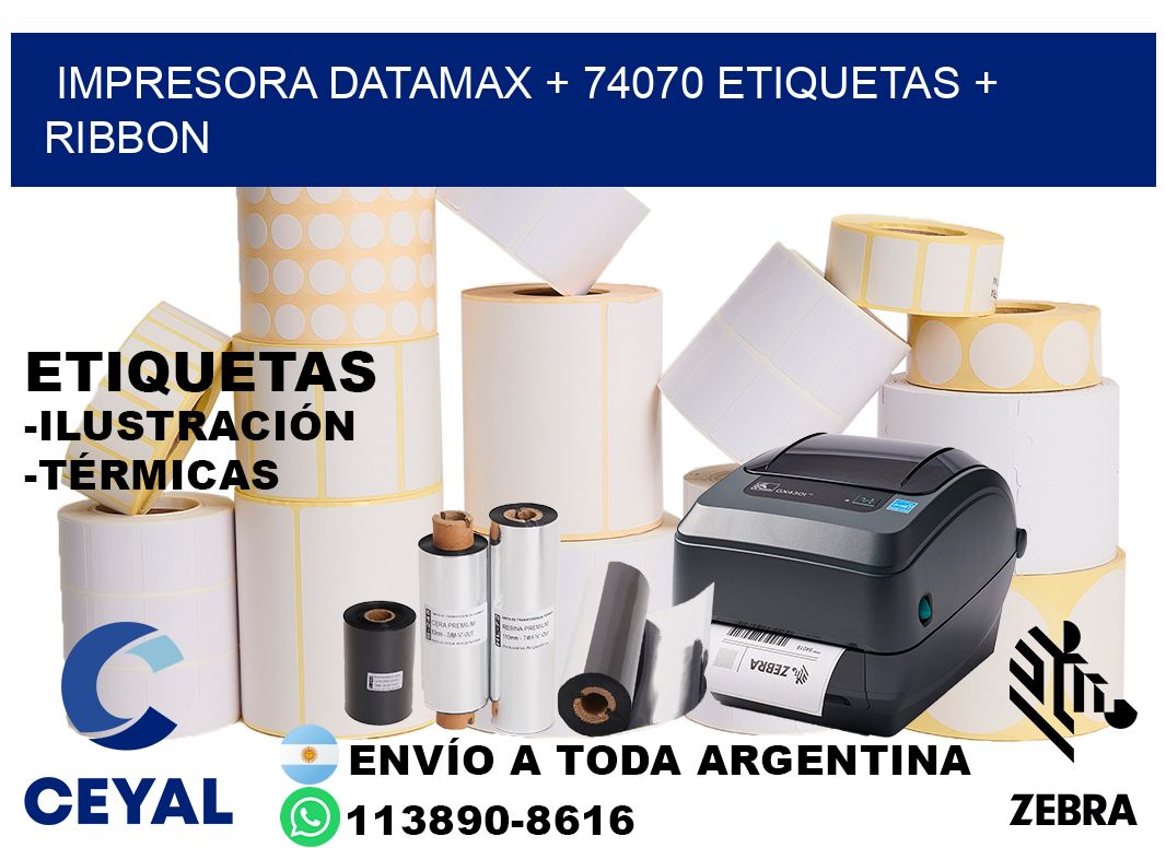 impresora DATAMAX + 74070 etiquetas + ribbon