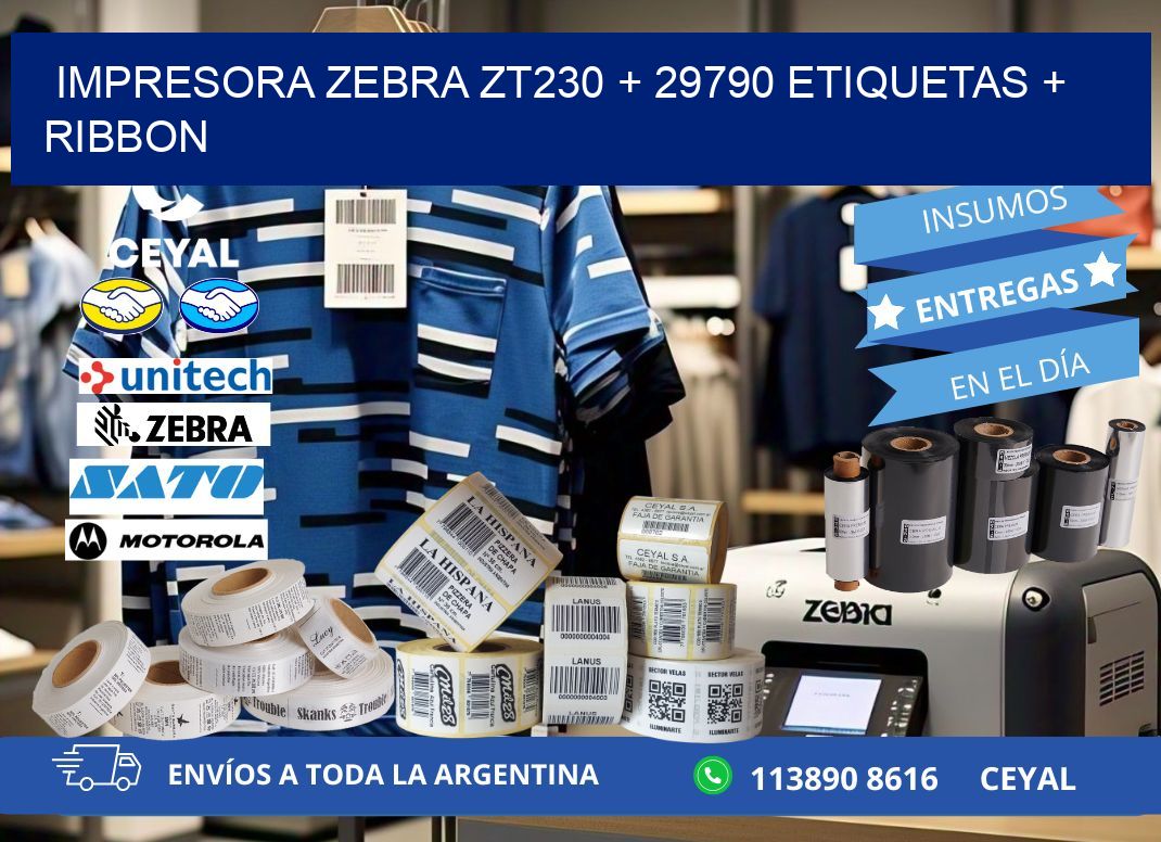 impresora zebra zt230 + 29790 etiquetas + ribbon