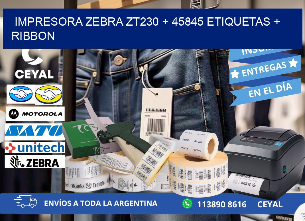 impresora zebra zt230 + 45845 etiquetas + ribbon