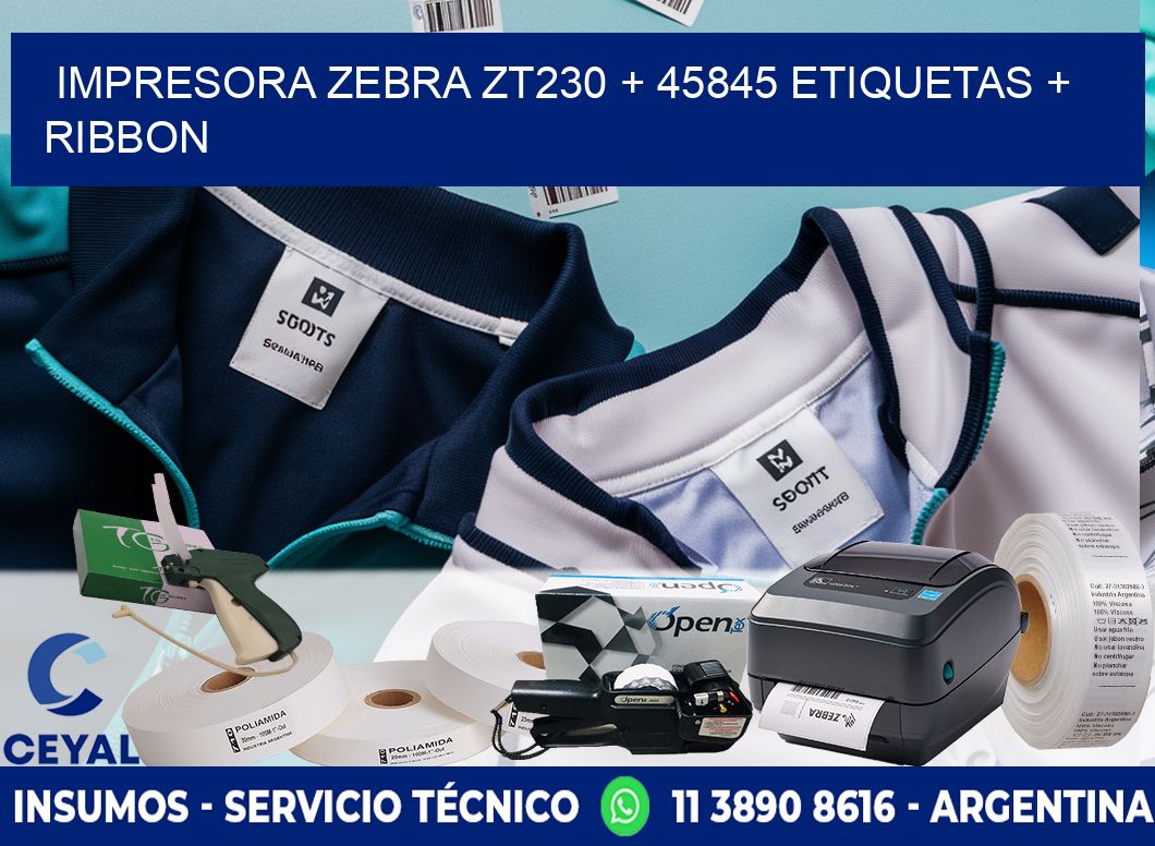 impresora zebra zt230 + 45845 etiquetas + ribbon