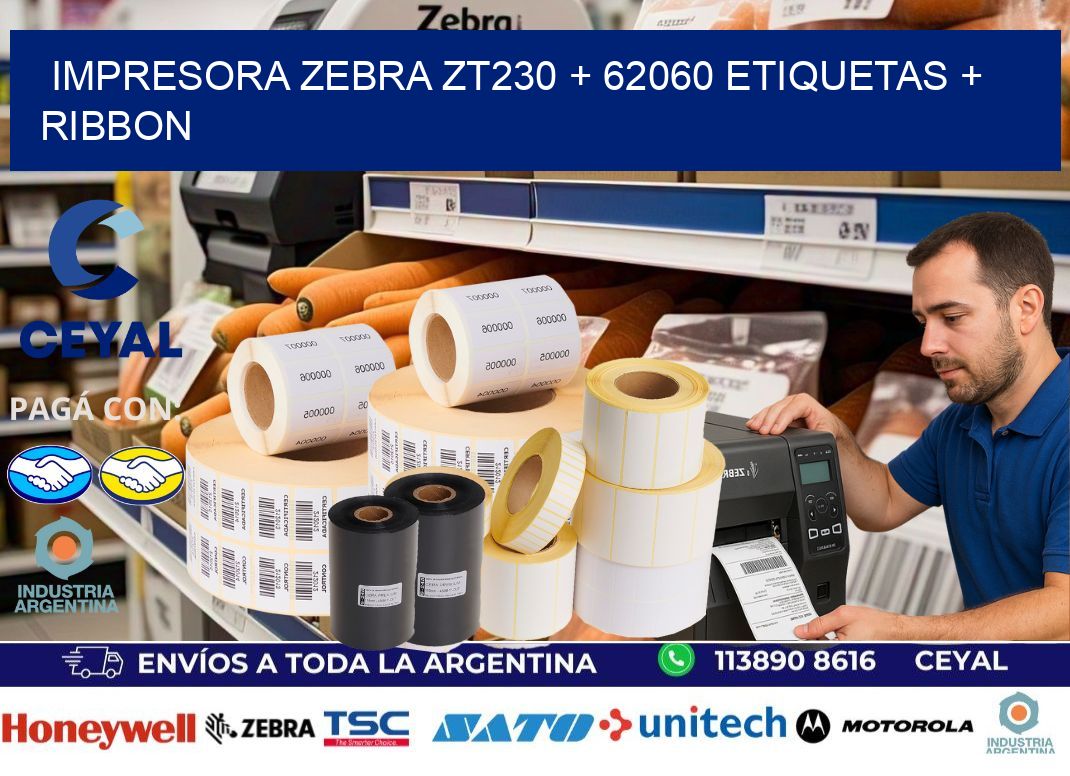 impresora zebra zt230 + 62060 etiquetas + ribbon