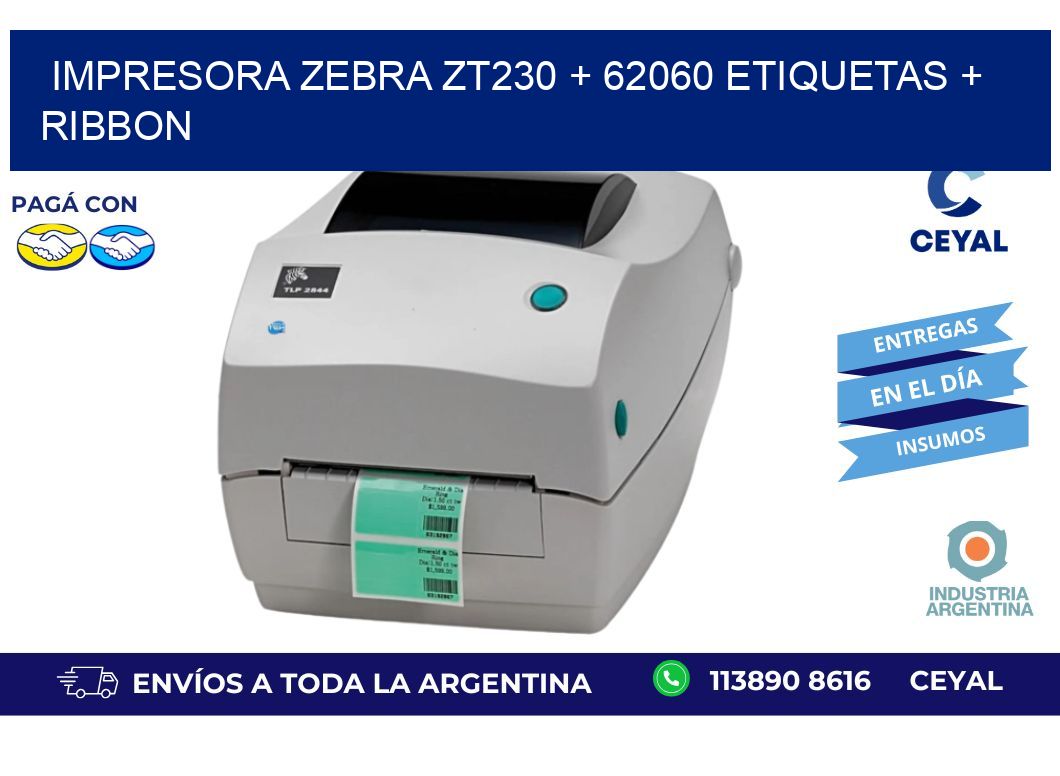 impresora zebra zt230 + 62060 etiquetas + ribbon