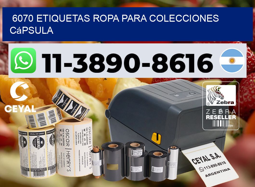 6070 Etiquetas ropa para colecciones cápsula