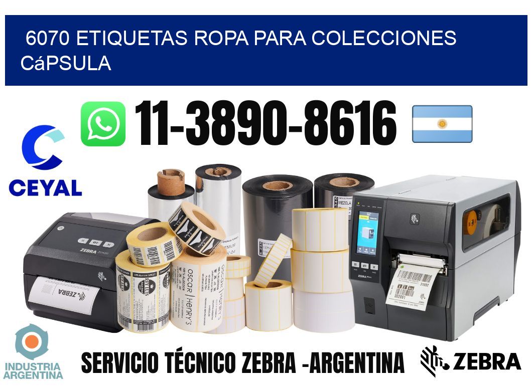 6070 Etiquetas ropa para colecciones cápsula