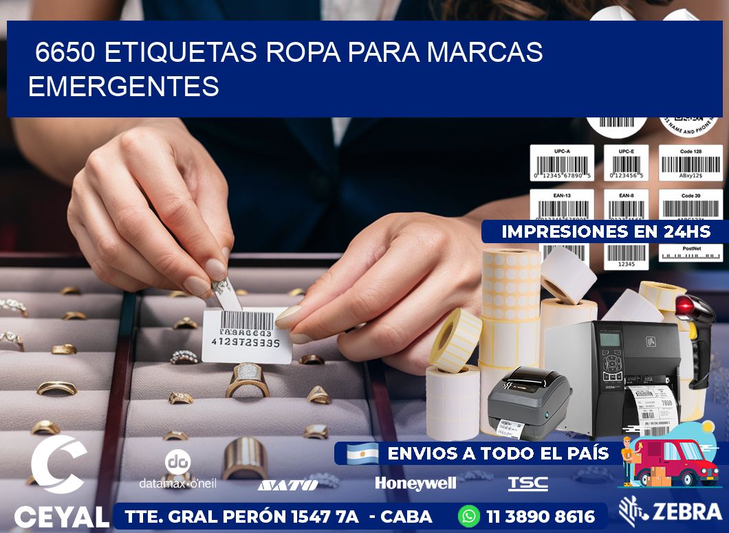 6650 Etiquetas ropa para marcas emergentes