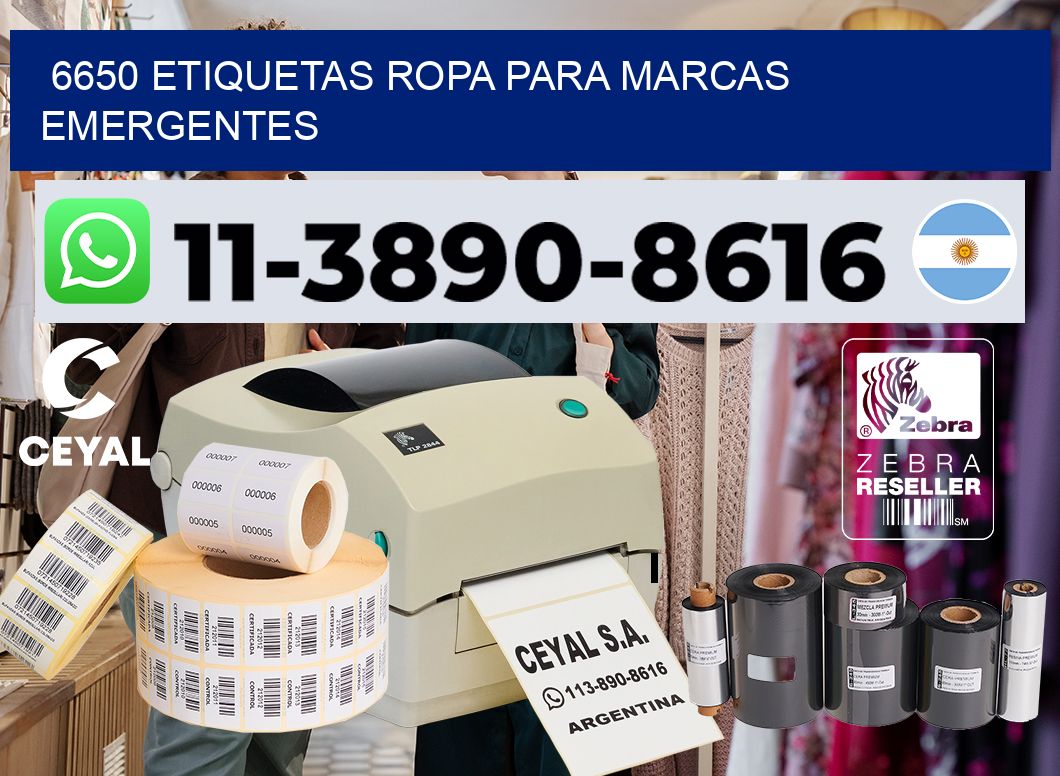 6650 Etiquetas ropa para marcas emergentes