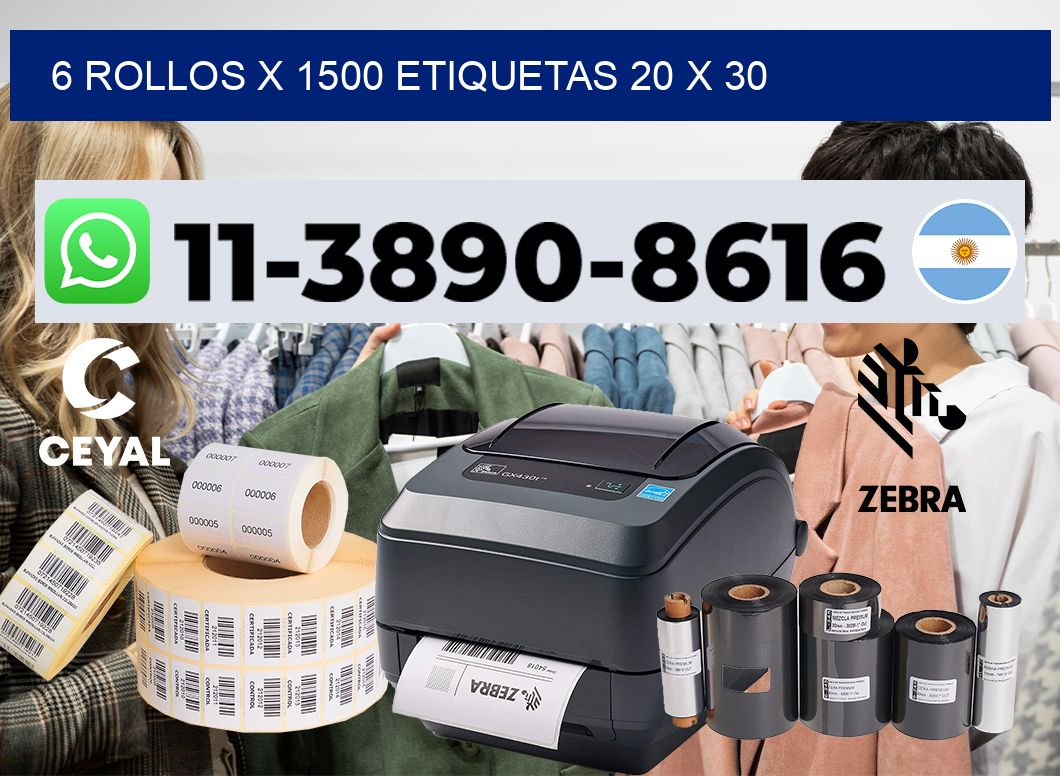 6 rollos x 1500 etiquetas 20 x 30
