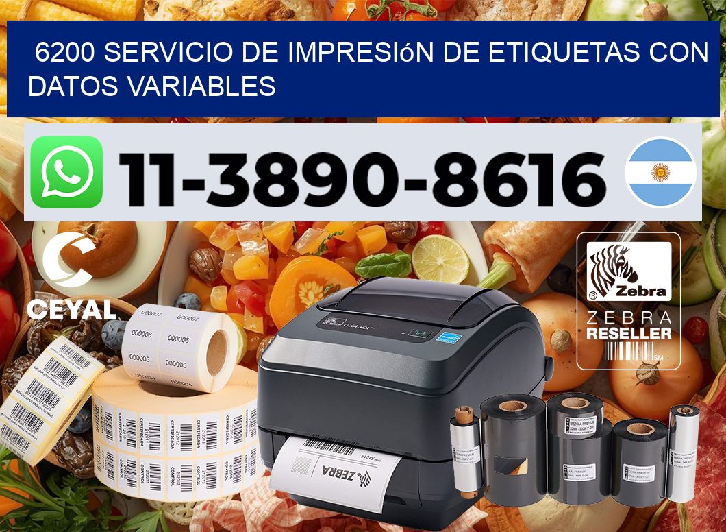 6200 Servicio de impresión de etiquetas con datos variables