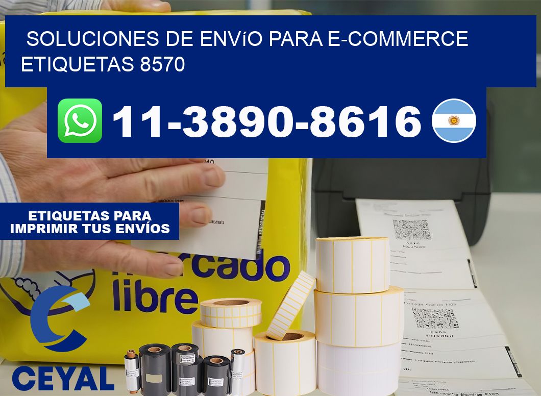 Soluciones de envío para e-commerce  etiquetas 8570