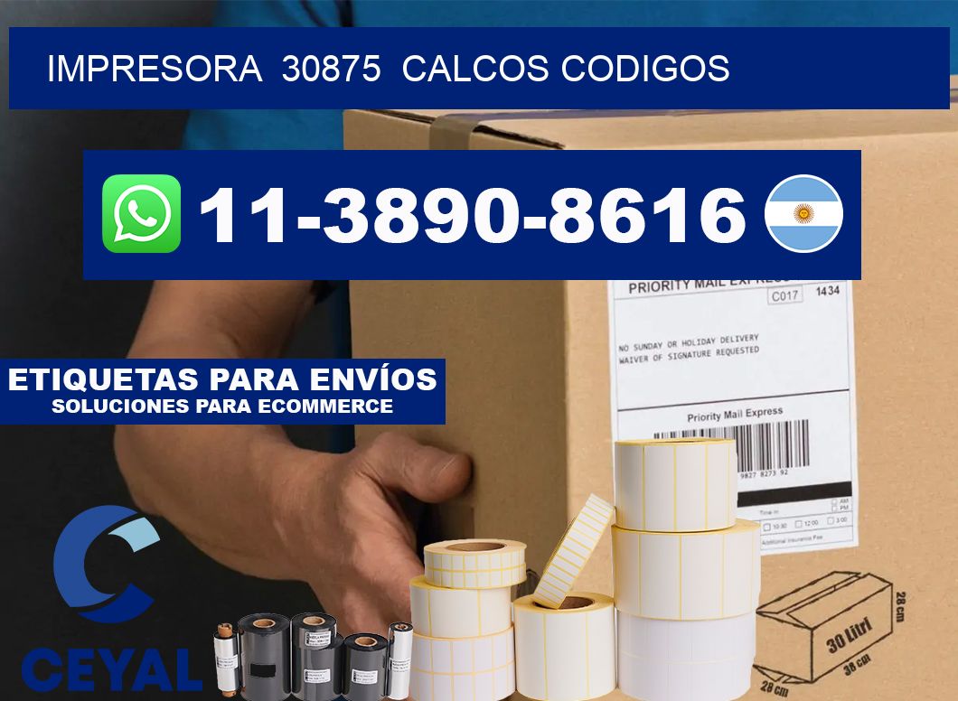 impresora  30875  calcos codigos