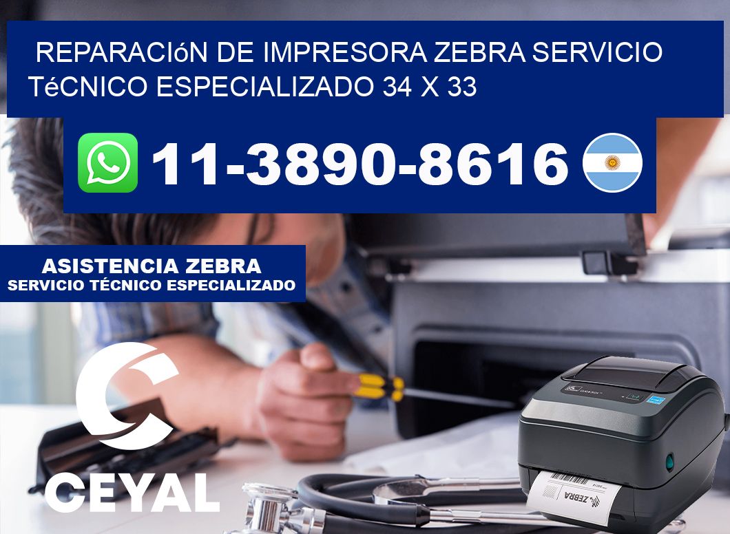 Reparación de Impresora Zebra Servicio Técnico Especializado 34 x 33