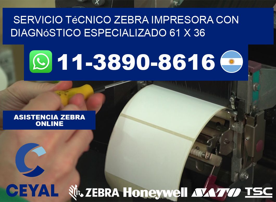 Servicio Técnico Zebra Impresora con Diagnóstico Especializado 61 x 36