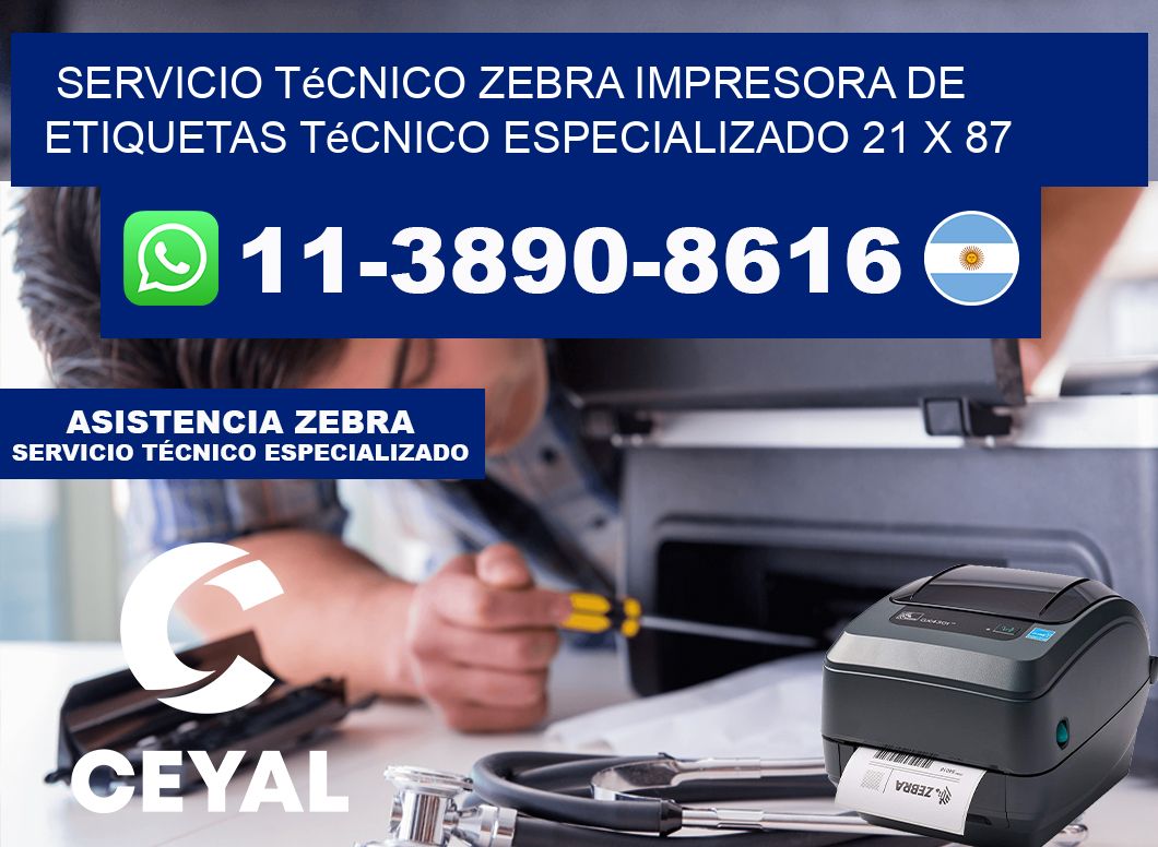 Servicio Técnico Zebra Impresora de Etiquetas Técnico Especializado 21 x 87