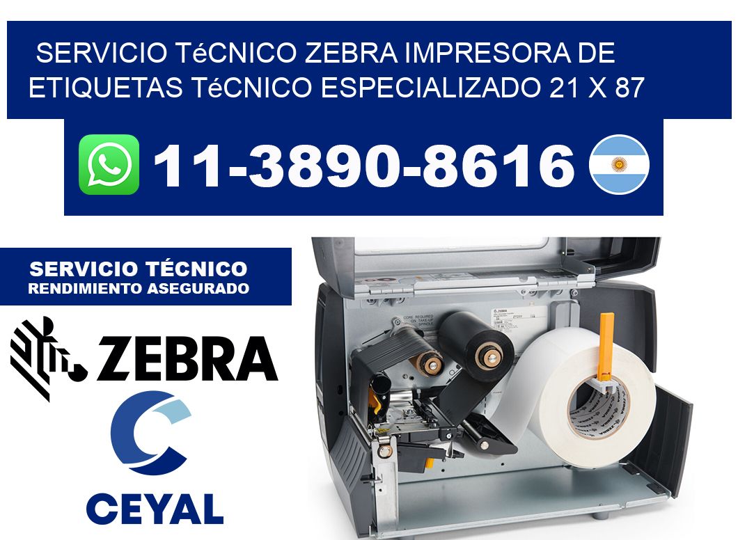 Servicio Técnico Zebra Impresora de Etiquetas Técnico Especializado 21 x 87