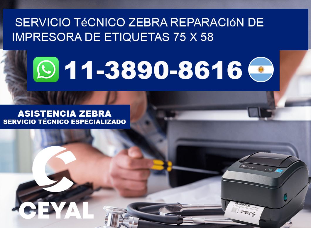 Servicio Técnico Zebra Reparación de Impresora de Etiquetas 75 x 58