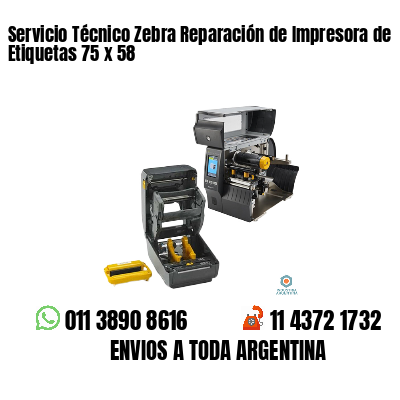 Servicio Técnico Zebra Reparación de Impresora de Etiquetas 75 x 58
