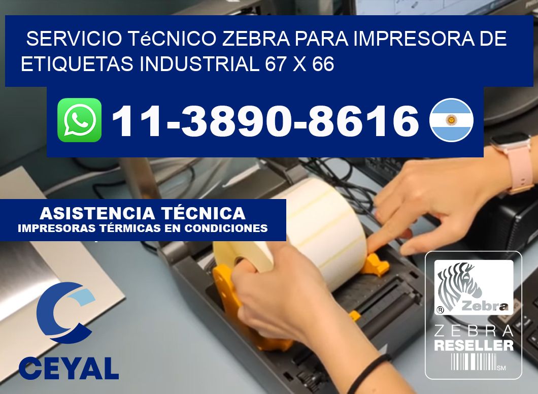Servicio Técnico Zebra para Impresora de Etiquetas Industrial 67 x 66