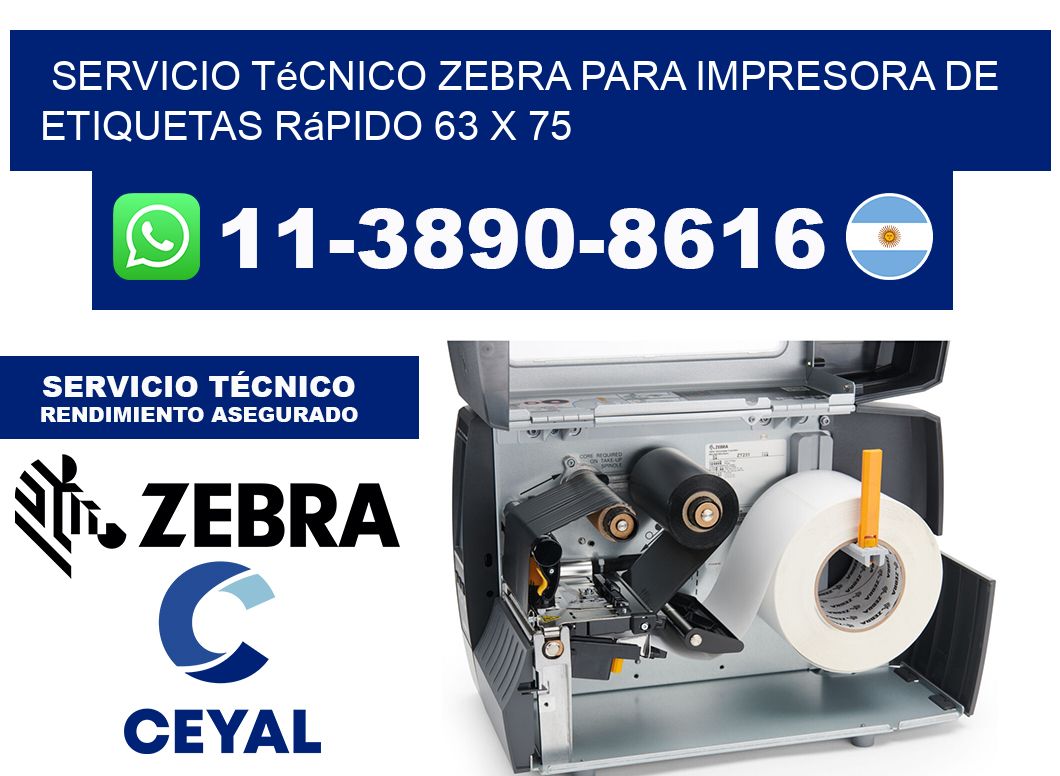 Servicio Técnico Zebra para Impresora de Etiquetas Rápido 63 x 75