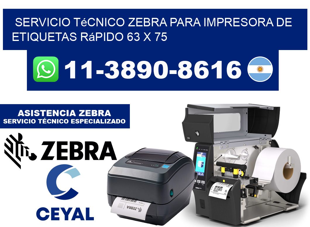 Servicio Técnico Zebra para Impresora de Etiquetas Rápido 63 x 75