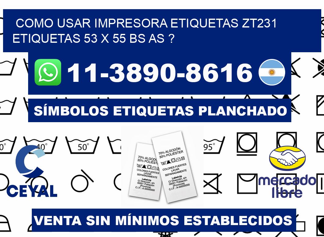 como usar impresora etiquetas zt231 etiquetas 53 x 55 BS AS ?