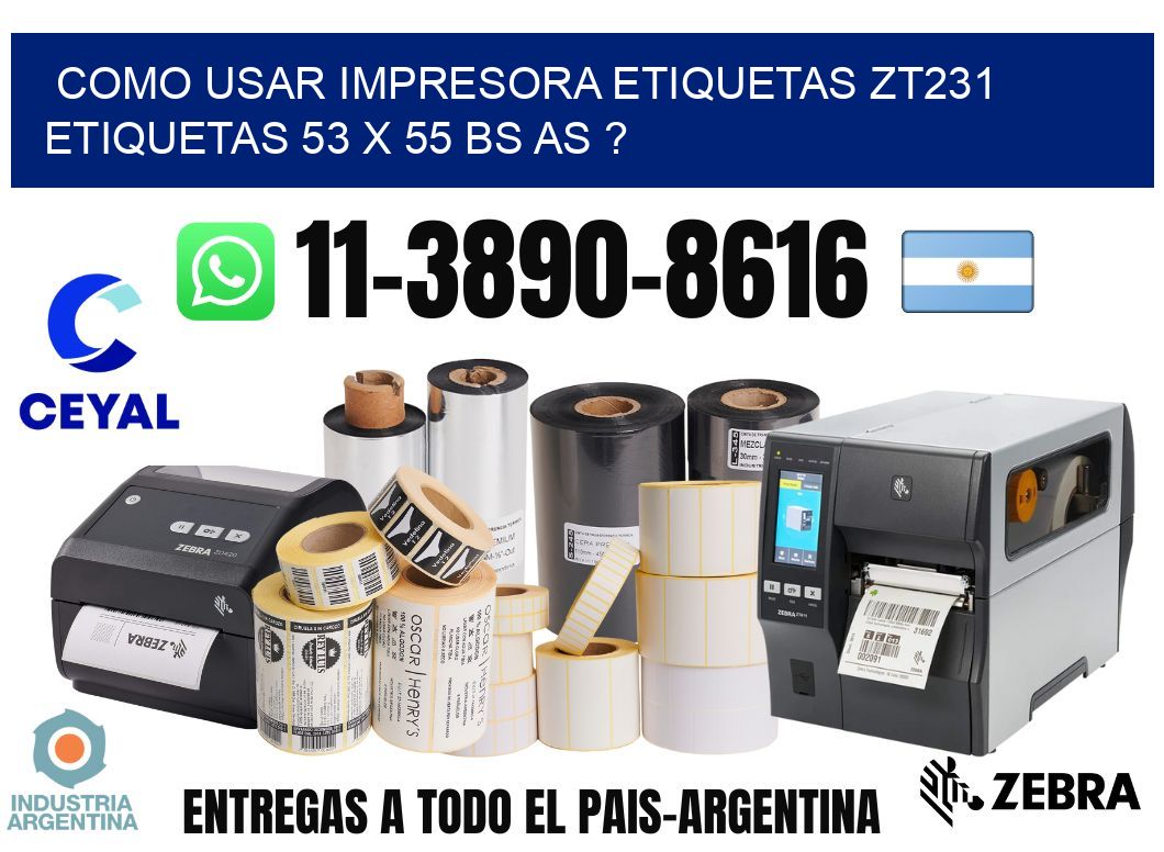 como usar impresora etiquetas zt231 etiquetas 53 x 55 BS AS ?