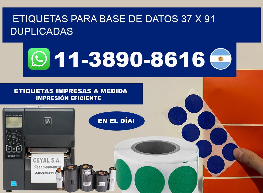 etiquetas para base de datos 37 x 91 duplicadas
