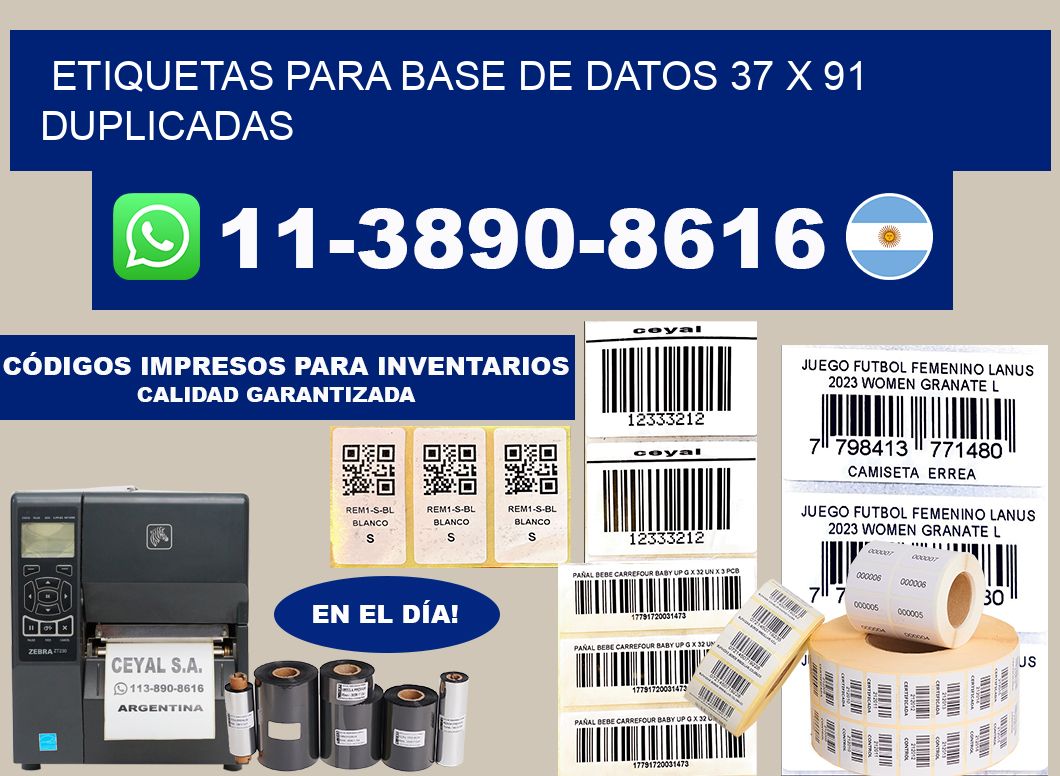 etiquetas para base de datos 37 x 91 duplicadas