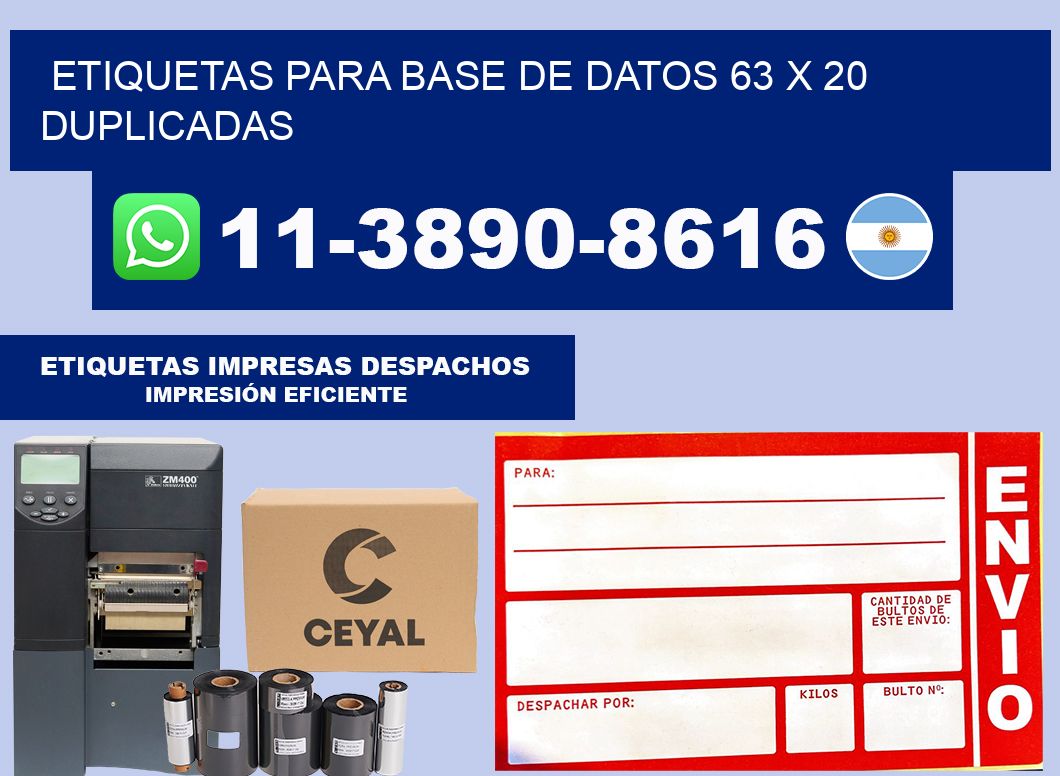 etiquetas para base de datos 63 x 20 duplicadas