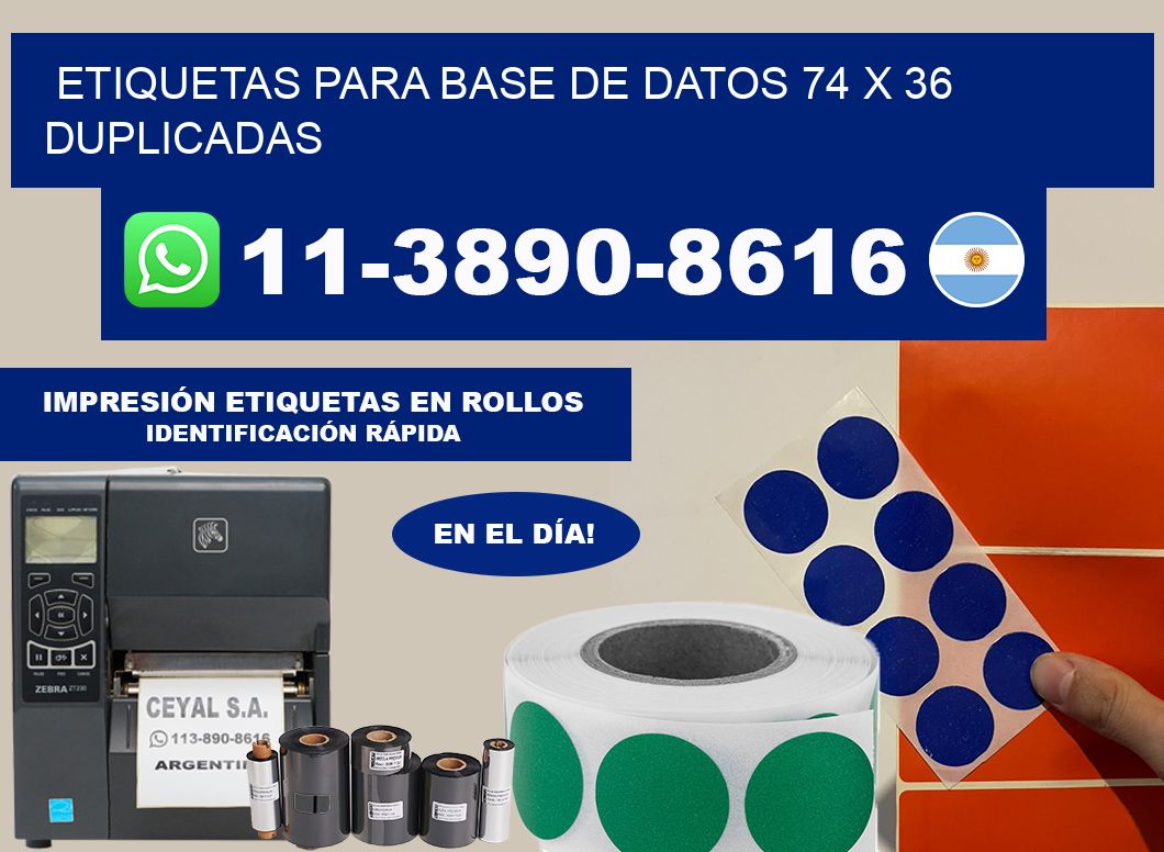 etiquetas para base de datos 74 x 36 duplicadas