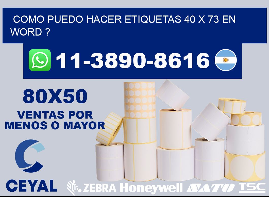 como puedo hacer etiquetas 40 x 73 en word ?